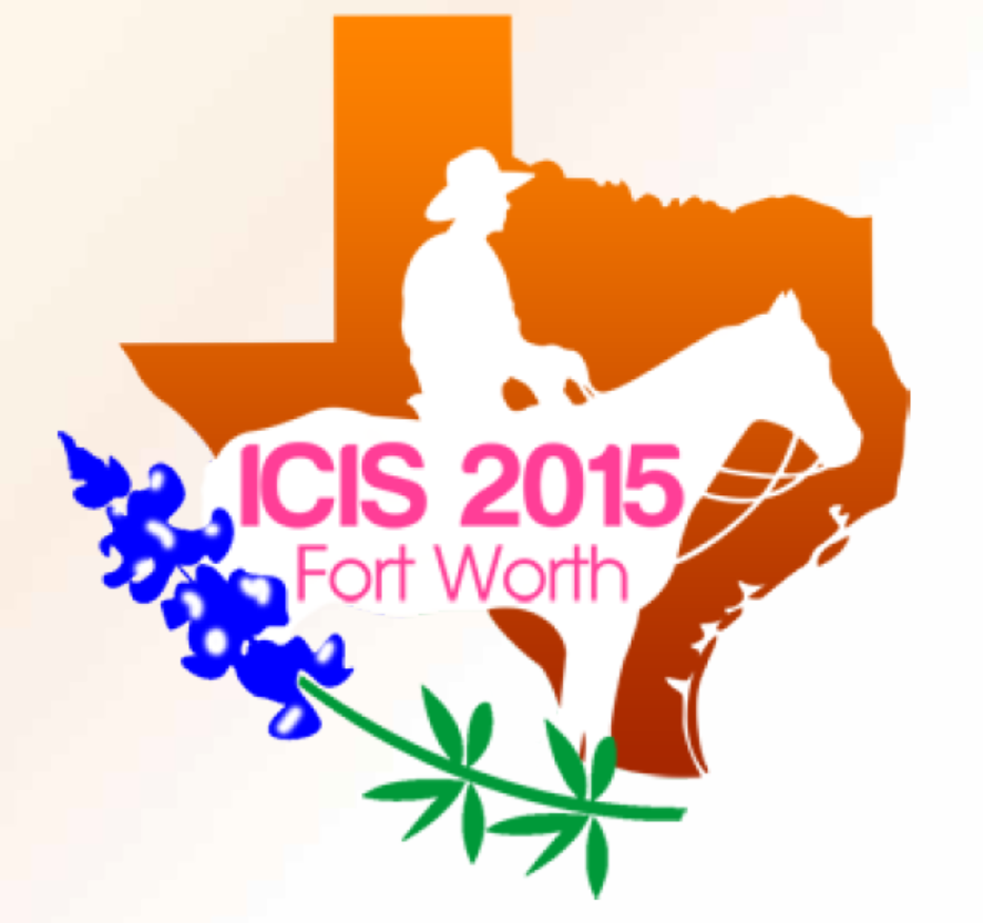 [International Conference] ICIS 2015